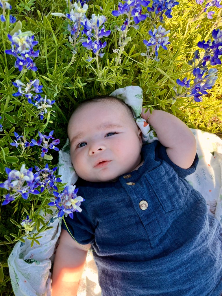 Baby laying in patch of bluebonnet flowers